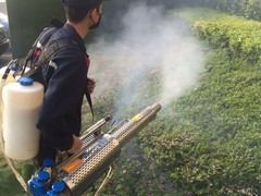 资阳灭鼠公司