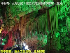 誠志天鴻