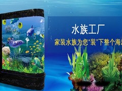 福州金龙鱼出售