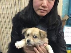 上海闵行区宠物流浪狗流浪猫小动物救助领养收容收养中心站