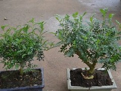 新阳光礼品