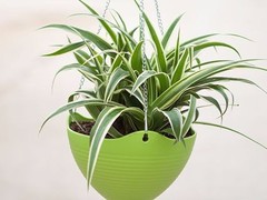 新阳光礼品