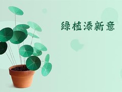 济南干花店