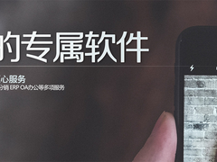 宁波系统开发公司