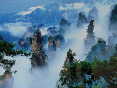 上海瞧一瞧国际旅行社有限公司