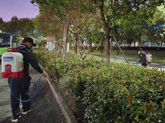 绵阳灭鼠公司