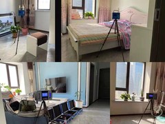 皇苹果除甲醛公司
