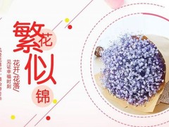 福州盆栽价格