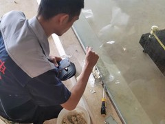 资阳灭鼠公司