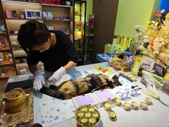 北京寵物火化