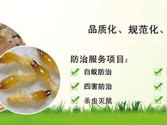 保定灭鼠公司电话