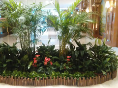 苏州办公室绿植租赁