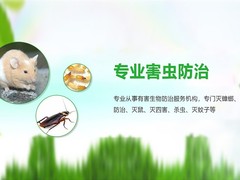 遂宁杀虫灭鼠公司