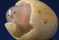 黔江私人收购大清银币私下高价收购古玩