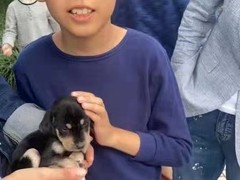 上海普陀区宠物救助领养收养收容中心