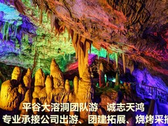 诚志天鸿