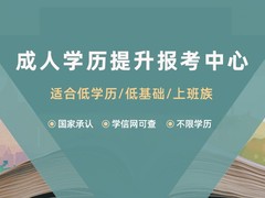 云南教育咨询