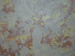 威洛尼（北京）裝飾材料有限公司