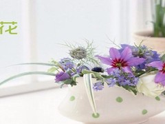 苏州绿植租赁