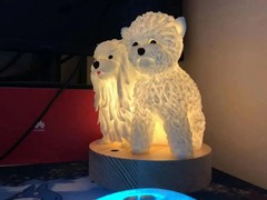 金华浦江宠物火化服务中心