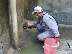 宜宾四害消杀公司