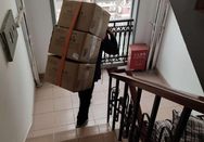 圖片8