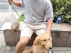 上海普陀区宠物救助领养收养收容中心