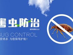 常州专业灭白蚁公司
