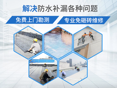 專業(yè)的防水補漏公司