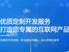 上海系统开发公司