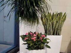 深圳市语花香园艺有限公司