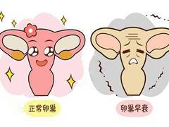 安徽猎狼智能科技有限公司