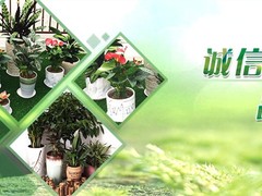 园林设计专业经营绿化工程