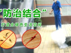 烟台杀虫灭鼠公司