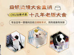 益帆边境犬舍
