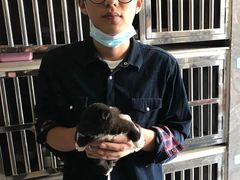 上海市小动物救助领养站