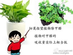 天津除醛环保科技有限公司
