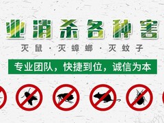 温州杀虫灭鼠公司