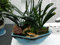 海南尚谷植颜园林景观有限公司