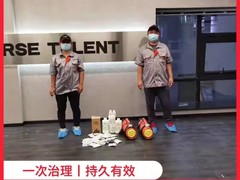 皇苹果除甲醛公司