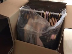 海口鸿发搬家公司