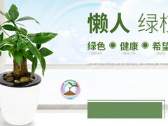 东莞花卉出售