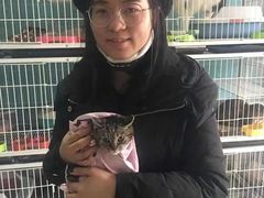 上海青浦区宠物小动物流浪狗流浪猫救助领养收容收养中心站