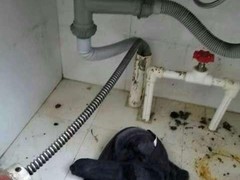 青岛兴鸿胜市政工程有限公司