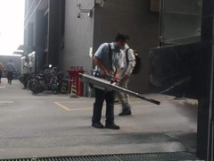 惠州白蚁防治
