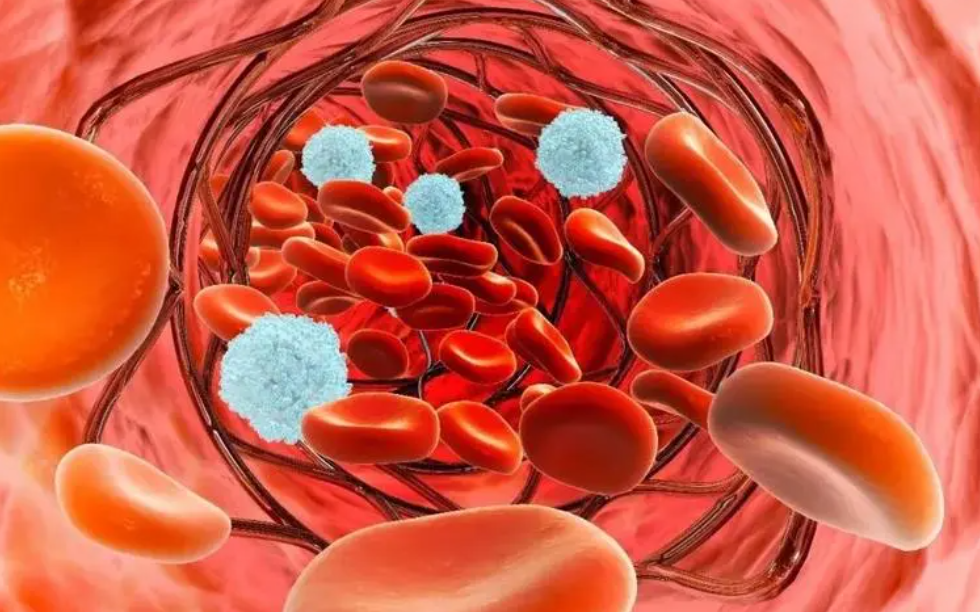 陕西血液病医院 得了mds会有危险吗?