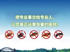 泉州杀虫灭鼠公司