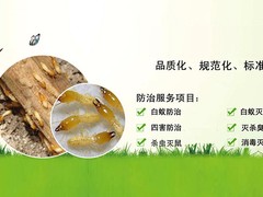 保定灭鼠公司电话