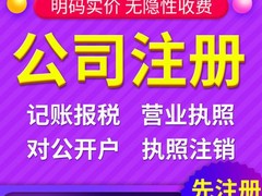 连云港中税财税管理有限公司
