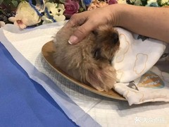 金华浦江宠物火化服务中心